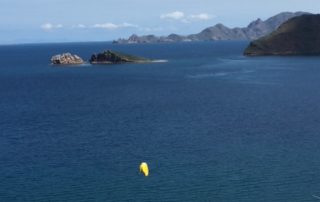 Islands of Loreto, Nature, Wildlife, Explore Loreto, Loreto Destinations, Gretchen Bell