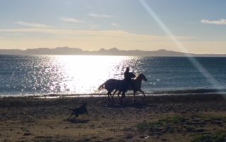 Beach walk, Explore Loreto, Loreto Destinations, Gretchen Bell