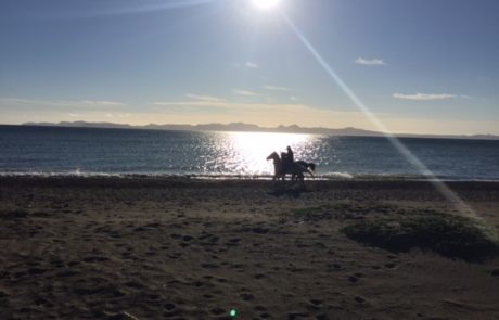 Horse riders on a beach