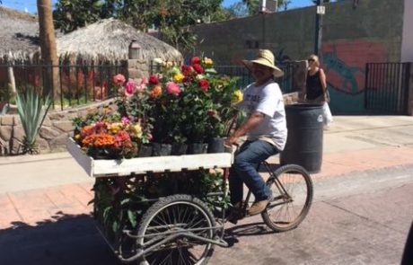 Street vender on a bicycle cart of flowers