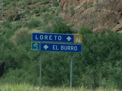 Highway sign with desert brush in background