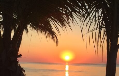 Beach sunset view between two palm trees