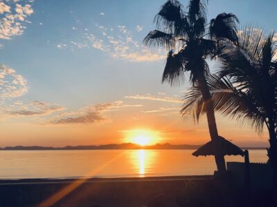 About Loreto IMG_2786 Ocean sunset view from a beach with palm trees