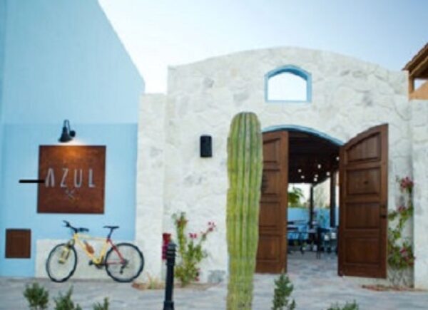 Entrance to Azul restaurant in Loreto with blue stucco wall, wooden doors, and tall cactus