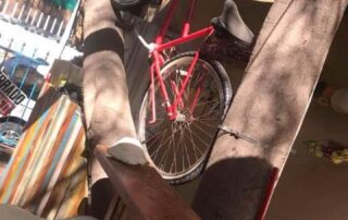 Bicycle propped in a tree as decoration