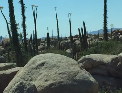 Plane Flights, Road Trips and Mexican Banditos