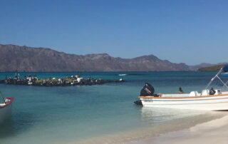 Fishing boats on a beach
