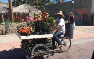 Street vendor on bicycle carrying flowers